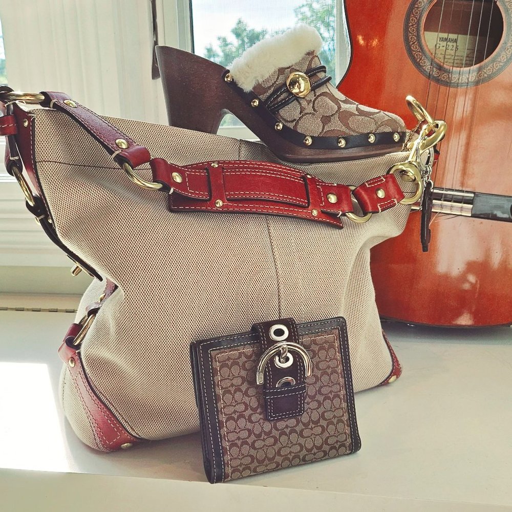 Coach Bag With Gold Hinges and Brown Leather Strap